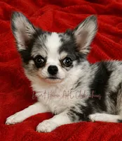 Facility photo