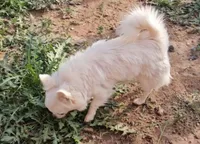 processed/fdb71a73-53fd-4072-84e4-a033a9f1b4b6/listing/e82f3049-4611-46c1-be66-d8dd3c12367c/2599e348-23a9-457c-a413-02f888405253