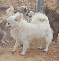 processed/fdb71a73-53fd-4072-84e4-a033a9f1b4b6/listing/e82f3049-4611-46c1-be66-d8dd3c12367c/37ba265b-b1ed-4137-af90-93b2cae019fe