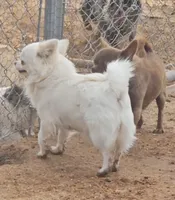 processed/fdb71a73-53fd-4072-84e4-a033a9f1b4b6/listing/e82f3049-4611-46c1-be66-d8dd3c12367c/4dc80ba2-6e12-4ff8-99f5-521a4dcb11fb