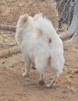 processed/fdb71a73-53fd-4072-84e4-a033a9f1b4b6/listing/e82f3049-4611-46c1-be66-d8dd3c12367c/63a66d2b-dbef-4a83-b2cc-5695b8d6db80