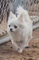 processed/fdb71a73-53fd-4072-84e4-a033a9f1b4b6/listing/e82f3049-4611-46c1-be66-d8dd3c12367c/cc9478df-d5ea-4c2b-a6d5-991544e9f976