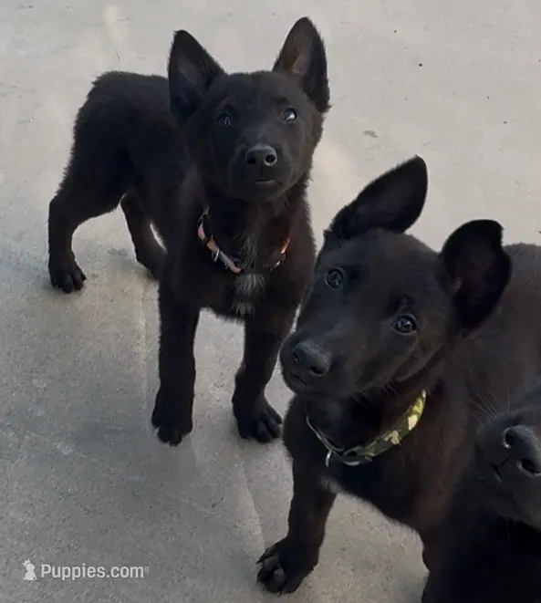 processed/fdb88da2-1535-4cf1-9ddc-c6023c7ce7f4/listing/47508213-a048-4b81-b1b4-6679ac823875/1492f7bb-75c0-4599-acdb-56896a19558a