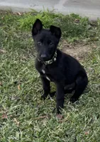 processed/fdb88da2-1535-4cf1-9ddc-c6023c7ce7f4/listing/47508213-a048-4b81-b1b4-6679ac823875/1a15fa06-8c54-48d4-99ad-87f38a80e2fa