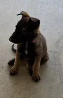 processed/fdb88da2-1535-4cf1-9ddc-c6023c7ce7f4/listing/47508213-a048-4b81-b1b4-6679ac823875/a11c326b-5d71-4059-890c-2f0bed42ab5c