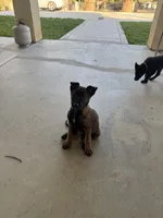 processed/fdb88da2-1535-4cf1-9ddc-c6023c7ce7f4/listing/47508213-a048-4b81-b1b4-6679ac823875/b6729dd4-b55d-4293-8391-ace0ba10e361