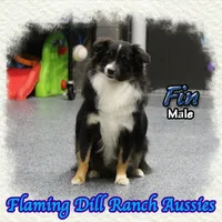 processed/fdc22078-3ee9-4092-9aee-751f1cd41a53/listing/28f41bed-2784-4750-83b7-0576f3fcaf4e/8fb4921d-a198-4e6c-b70a-b3907b1f63d0