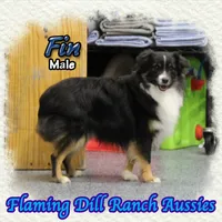 processed/fdc22078-3ee9-4092-9aee-751f1cd41a53/listing/28f41bed-2784-4750-83b7-0576f3fcaf4e/dff00c36-2fc5-4ec4-a965-308618ab46de