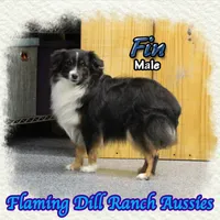 processed/fdc22078-3ee9-4092-9aee-751f1cd41a53/listing/483e4642-664e-4adb-ad89-f80cb5e1d91d/43554b32-2a7f-4ea3-84c3-192e99bf1e2c