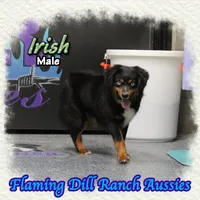 processed/fdc22078-3ee9-4092-9aee-751f1cd41a53/listing/483e4642-664e-4adb-ad89-f80cb5e1d91d/57925949-ba5e-4448-bbd8-310d8e15cdb7