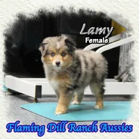 processed/fdc22078-3ee9-4092-9aee-751f1cd41a53/listing/4a6fff6f-6a3d-4364-868d-45b0b336c404/4fa543b1-1c4d-46a3-b17c-e2092e8b4b69