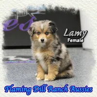 processed/fdc22078-3ee9-4092-9aee-751f1cd41a53/listing/4a6fff6f-6a3d-4364-868d-45b0b336c404/cc2e0e12-4d58-4821-b76d-9fd1c39bede6