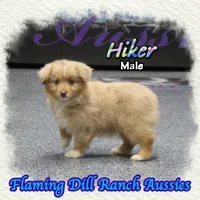 processed/fdc22078-3ee9-4092-9aee-751f1cd41a53/listing/99400984-4dba-47d6-8e3f-40c64835f24e/1af4ee29-1618-4769-ab7f-eeac0529cfdb