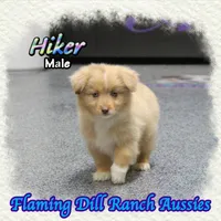 processed/fdc22078-3ee9-4092-9aee-751f1cd41a53/listing/99400984-4dba-47d6-8e3f-40c64835f24e/43b30da5-9f0b-4774-9738-f89b155ec0b8