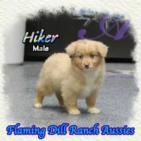 processed/fdc22078-3ee9-4092-9aee-751f1cd41a53/listing/99400984-4dba-47d6-8e3f-40c64835f24e/8a49600b-5ad3-4a0a-a487-d8f8ece9fba5