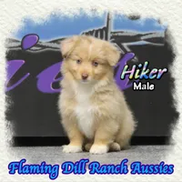 processed/fdc22078-3ee9-4092-9aee-751f1cd41a53/listing/99400984-4dba-47d6-8e3f-40c64835f24e/d57416fe-381f-4e57-8d21-a789b454e64e