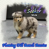 processed/fdc22078-3ee9-4092-9aee-751f1cd41a53/listing/b0535ffa-7c8c-408e-a029-6cf2c6fa3938/19d59e61-dba8-434b-bbb2-e48cda847ceb