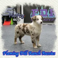 processed/fdc22078-3ee9-4092-9aee-751f1cd41a53/listing/d793cdb6-cec5-4c05-ac18-2d67335a03a6/1be47b4b-0f77-431b-83d6-0ee011fa168c