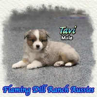 processed/fdc22078-3ee9-4092-9aee-751f1cd41a53/listing/ee9aa264-0590-452f-bf7a-ec316c6fa797/0acc55b9-9efd-480b-8783-5ef5df809d4b