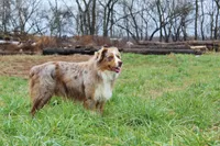 processed/fdcf3b67-2908-4c8a-b550-b9e1e12316a4/facility/8146585f-2e39-4a7a-9886-4b3e0971e752