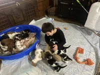 processed/fdd5db87-10d5-4fd5-bc2d-9c669b974e9f/facility/08943f51-7ed2-4733-b2f8-3a3f95474561