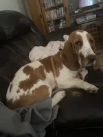 processed/fdd5db87-10d5-4fd5-bc2d-9c669b974e9f/facility/2d15c724-ec93-47e7-94fc-71374294b646