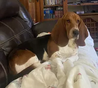 processed/fdd5db87-10d5-4fd5-bc2d-9c669b974e9f/facility/619f4343-f1c2-4a8a-b35b-26fa3b64be74