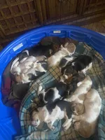 processed/fdd5db87-10d5-4fd5-bc2d-9c669b974e9f/facility/c8773b26-4fb4-4aa6-a1a8-a69f812fd4e7