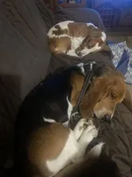 processed/fdd5db87-10d5-4fd5-bc2d-9c669b974e9f/facility/fc2ca480-55d7-4209-a698-ad92bbd70ab3