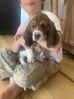 processed/fdd5db87-10d5-4fd5-bc2d-9c669b974e9f/listing/a9549095-04a4-411b-a1bb-a87f41d8b9c7/2a6fe9e3-17b1-4e95-9c0d-18c88ba1b64c