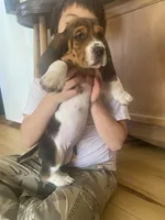 processed/fdd5db87-10d5-4fd5-bc2d-9c669b974e9f/listing/a9549095-04a4-411b-a1bb-a87f41d8b9c7/f04b10e2-3a5a-4d48-85ce-e88f220d7b20