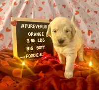 processed/fddb4325-4652-44c9-9428-5a0809e68ba2/listing/5a7f653d-995a-4b70-aec5-6cda3b914834/5998f3f5-8ed7-4e0b-9769-c0e5cad7266d