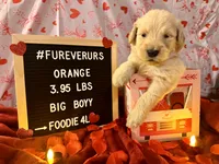 processed/fddb4325-4652-44c9-9428-5a0809e68ba2/listing/5a7f653d-995a-4b70-aec5-6cda3b914834/922d2e52-06a9-42f9-8dc4-60ad793b287d