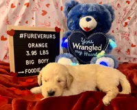 processed/fddb4325-4652-44c9-9428-5a0809e68ba2/listing/5a7f653d-995a-4b70-aec5-6cda3b914834/e4c15ed8-7b8f-4cd4-9a48-9ff5646d0b1a