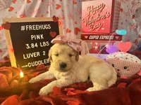 processed/fddb4325-4652-44c9-9428-5a0809e68ba2/listing/5ccbeab0-4a1d-494c-8cfd-8fbe5843c11e/3ebf8cbe-1d58-413f-925b-0d4a56a26b66