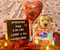 processed/fddb4325-4652-44c9-9428-5a0809e68ba2/listing/5ccbeab0-4a1d-494c-8cfd-8fbe5843c11e/f01e2bc3-3beb-45fe-a057-609cd6c1e4af