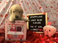 processed/fddb4325-4652-44c9-9428-5a0809e68ba2/listing/67586298-2c19-4923-b6e5-4750a38329bb/27fe530d-8cd2-46a6-a976-06e00804bdd9