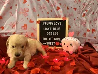 processed/fddb4325-4652-44c9-9428-5a0809e68ba2/listing/67586298-2c19-4923-b6e5-4750a38329bb/2d4e52f0-4b55-45c3-9c69-6f99e0c09af5