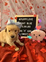 processed/fddb4325-4652-44c9-9428-5a0809e68ba2/listing/67586298-2c19-4923-b6e5-4750a38329bb/798ea26e-6ac5-47d6-8533-25c5cf738341