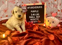 processed/fddb4325-4652-44c9-9428-5a0809e68ba2/listing/8e18e648-3fac-4a16-bd59-b6773f5abf61/7d5799f7-e5a3-4a76-9c4f-96466c457d93