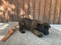 processed/fdde17bd-5b52-4f65-9800-c3220687e94c/listing/10e11084-045e-4a4c-93d8-b89bc7665ec2/097e4148-641f-4610-ac4a-951a66c81e43