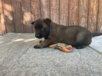 processed/fdde17bd-5b52-4f65-9800-c3220687e94c/listing/10e11084-045e-4a4c-93d8-b89bc7665ec2/4272fb79-6091-4878-a4fc-dd0ca895efc3