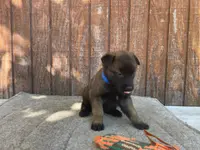 processed/fdde17bd-5b52-4f65-9800-c3220687e94c/listing/10e11084-045e-4a4c-93d8-b89bc7665ec2/6da57491-5506-4a11-a5f5-1692714bdfa6