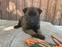 processed/fdde17bd-5b52-4f65-9800-c3220687e94c/listing/10e11084-045e-4a4c-93d8-b89bc7665ec2/7000afa1-691b-4d2c-b309-57c2c3ebee8b