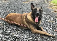 processed/fdde17bd-5b52-4f65-9800-c3220687e94c/listing/34455278-5e75-4388-bab2-4e5786ba45a0/1cb6bb06-7adf-480a-a68d-7055b98ba2a9