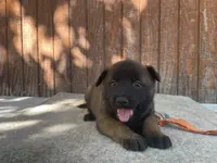 processed/fdde17bd-5b52-4f65-9800-c3220687e94c/listing/34455278-5e75-4388-bab2-4e5786ba45a0/6f3a81ae-23ff-45e1-9956-dd70a93e4ba6