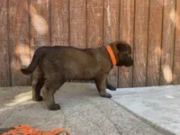 processed/fdde17bd-5b52-4f65-9800-c3220687e94c/listing/34455278-5e75-4388-bab2-4e5786ba45a0/83afd1c5-19f2-4e59-86b2-545b3e6bc905