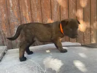 processed/fdde17bd-5b52-4f65-9800-c3220687e94c/listing/34455278-5e75-4388-bab2-4e5786ba45a0/9ce4444b-2070-428e-b2e0-75b6f40e6d8a