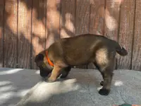 processed/fdde17bd-5b52-4f65-9800-c3220687e94c/listing/34455278-5e75-4388-bab2-4e5786ba45a0/cf0b8f8a-abda-49fc-b268-b3d62ecad376