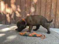 processed/fdde17bd-5b52-4f65-9800-c3220687e94c/listing/34455278-5e75-4388-bab2-4e5786ba45a0/e62ccf76-3c88-4ffc-a2f1-738fc3c0c1ef